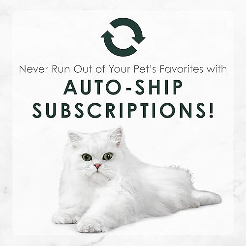 Miniatura 10 de Purina Fancy Feast Chicken Feast - Alimento húmedo en paté alto en proteínas para gatos mayores de 7 años, 24 latas de 3 onzas