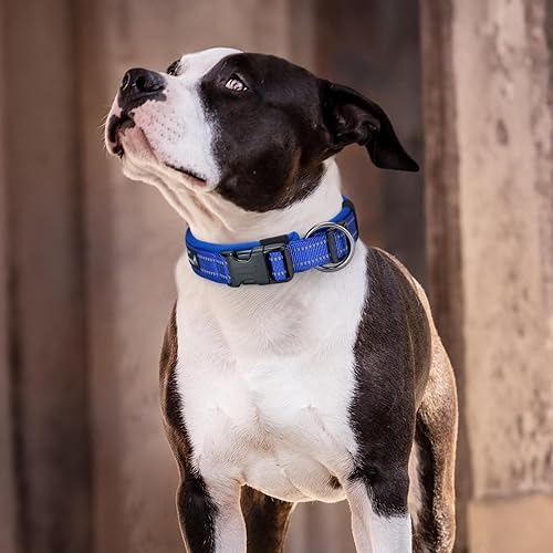 Miniatura 7 de EXCELLENT ELITE SPANKER Collar reflectante para perro, clásico, suave, acolchado, de nailon transpirable, ajustable, con hebilla de liberación