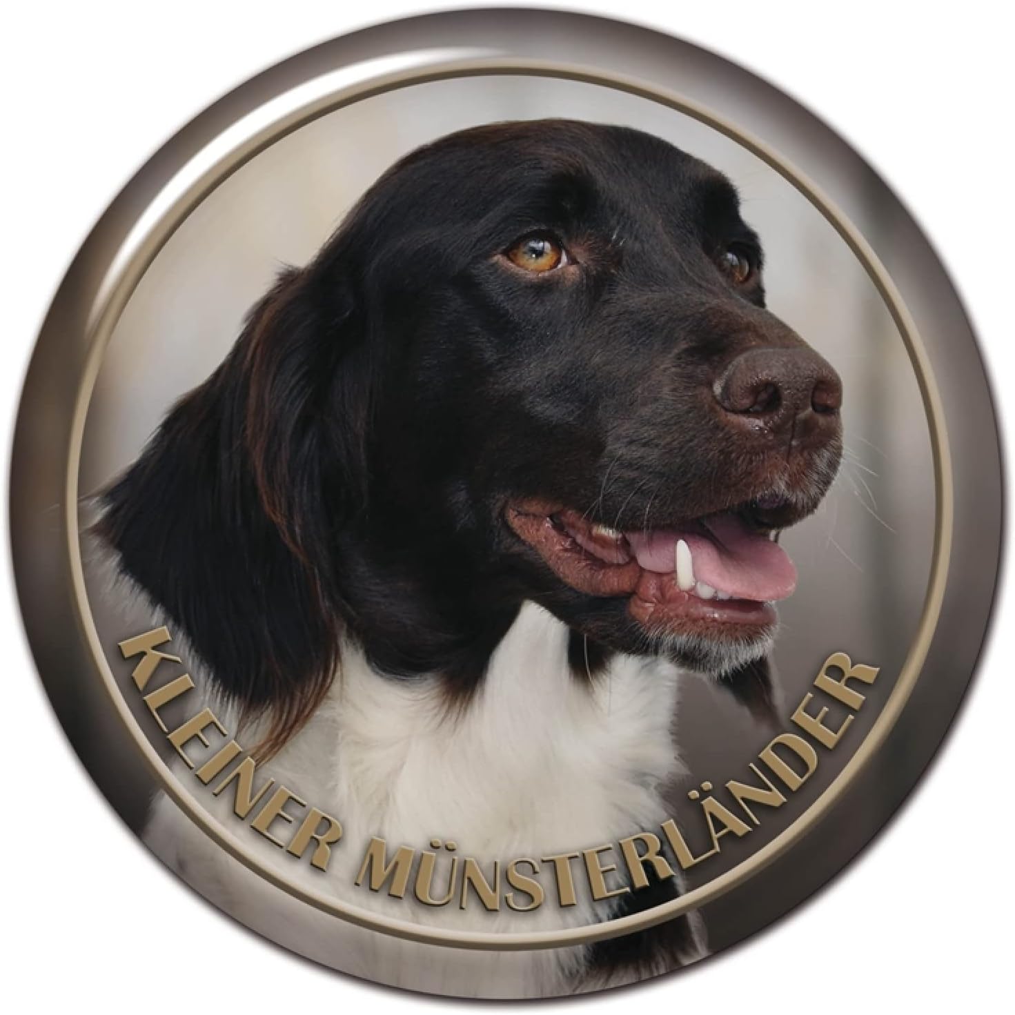 Ghostbusters Autoaufkleber - Selbstklebend Für Stoßstange & Heckscheibe - 30cm Grusel-Spaß