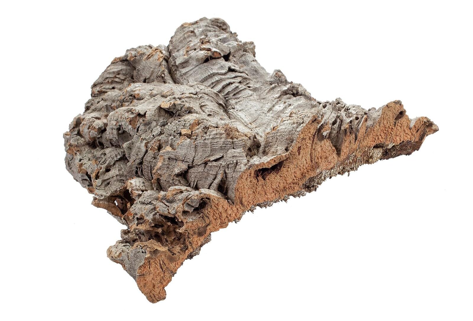 HAPPET płaty korkowe do terrarium 1 kg – naturalna kora dębu korkowego, kryjówki dla gadów, płazów i bezkręgowców, odporne na wilgoć i pleśń, dekoracja biotopu