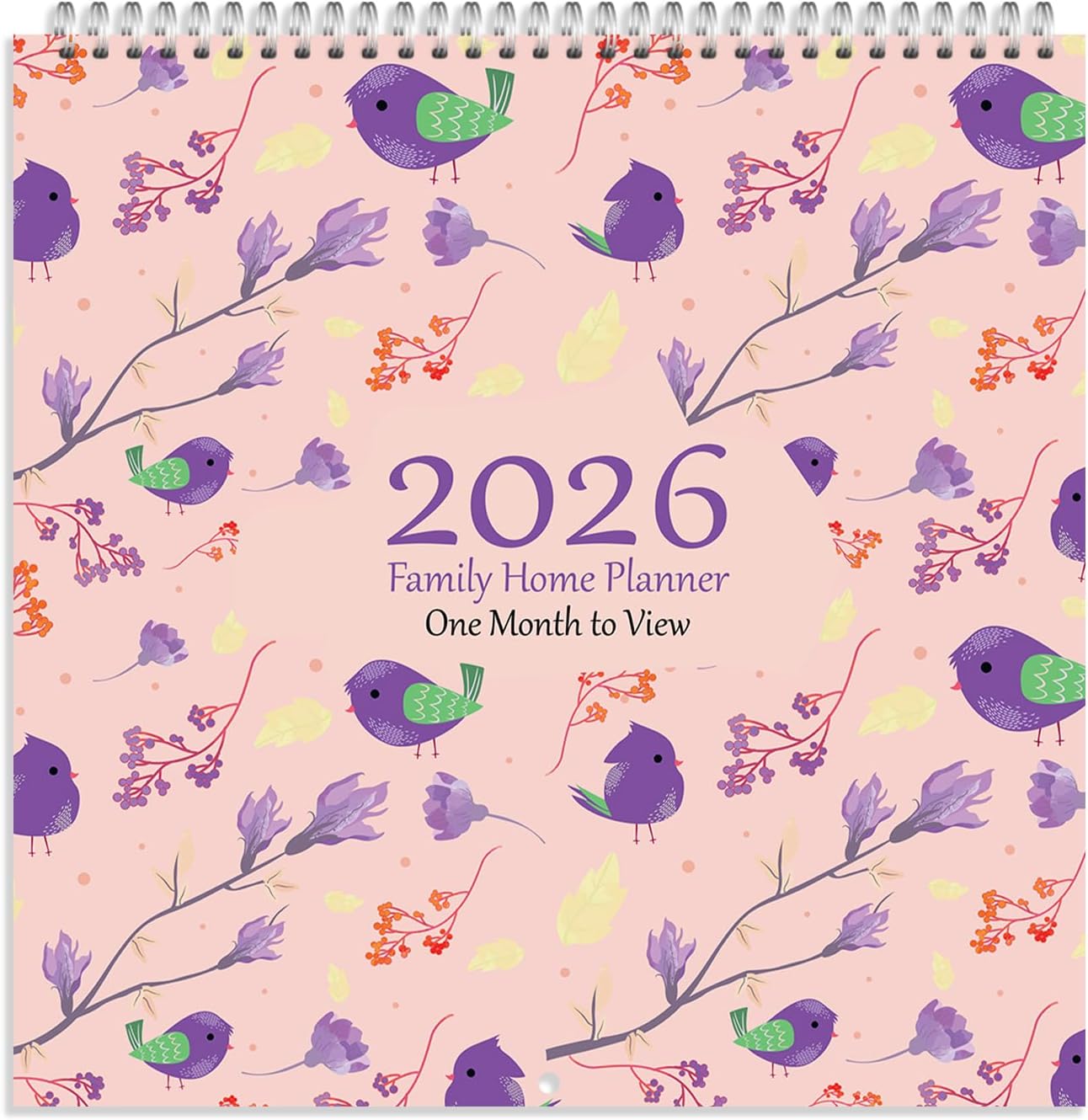 Arpan 2026 Family Home Planner Wall Calendar – Month to View Family Planner 2026 with 5 Columns Including Birthday Column | 2026 Family Planner Calendar | Family Calendar 5 Columns for Busy Homes