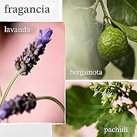 Vista 5 de Pureology Hydrate Shampoo - For Dry or Color Treated Hair, Moisturizing Shampoo For Hydration & Softness, With Rose Extract & Green Tea, Vegan &