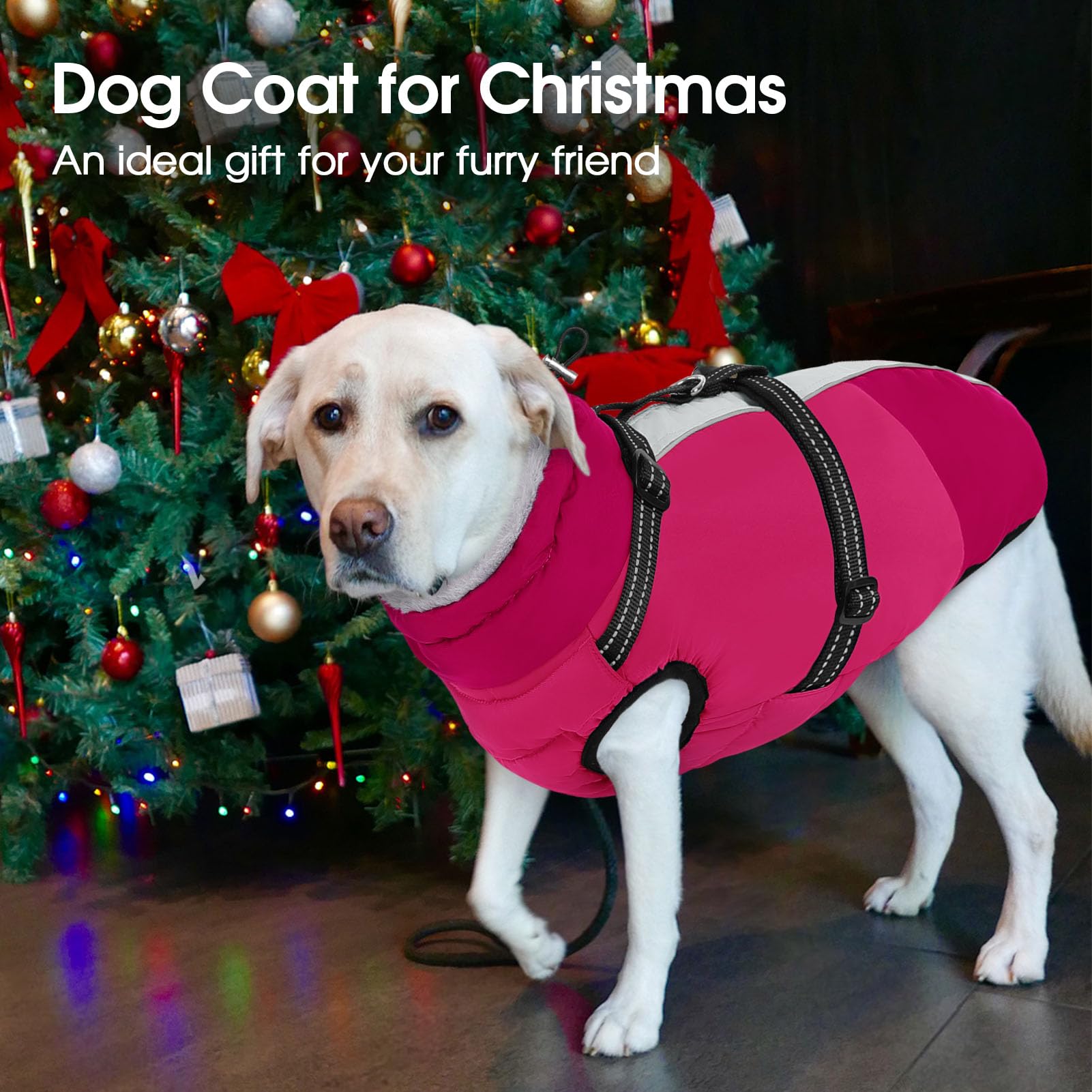 SUNFURA Chaqueta para perro pequeño con arnés integrado, chaqueta cálida para perro con cierre, chaqueta reflectante de invierno para perros pequeños, Schnauzer, Yorkshire