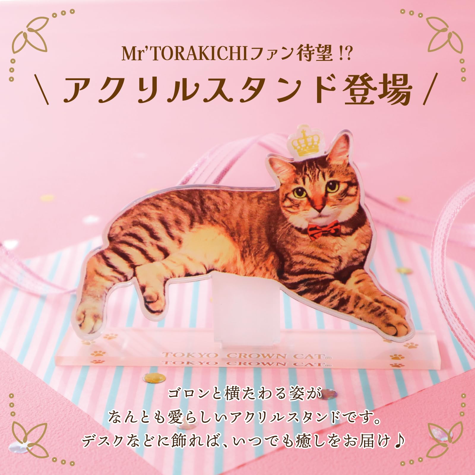 Amazon.co.jp: TOKYO CROWN CAT 東京クラウンキャット プティ 