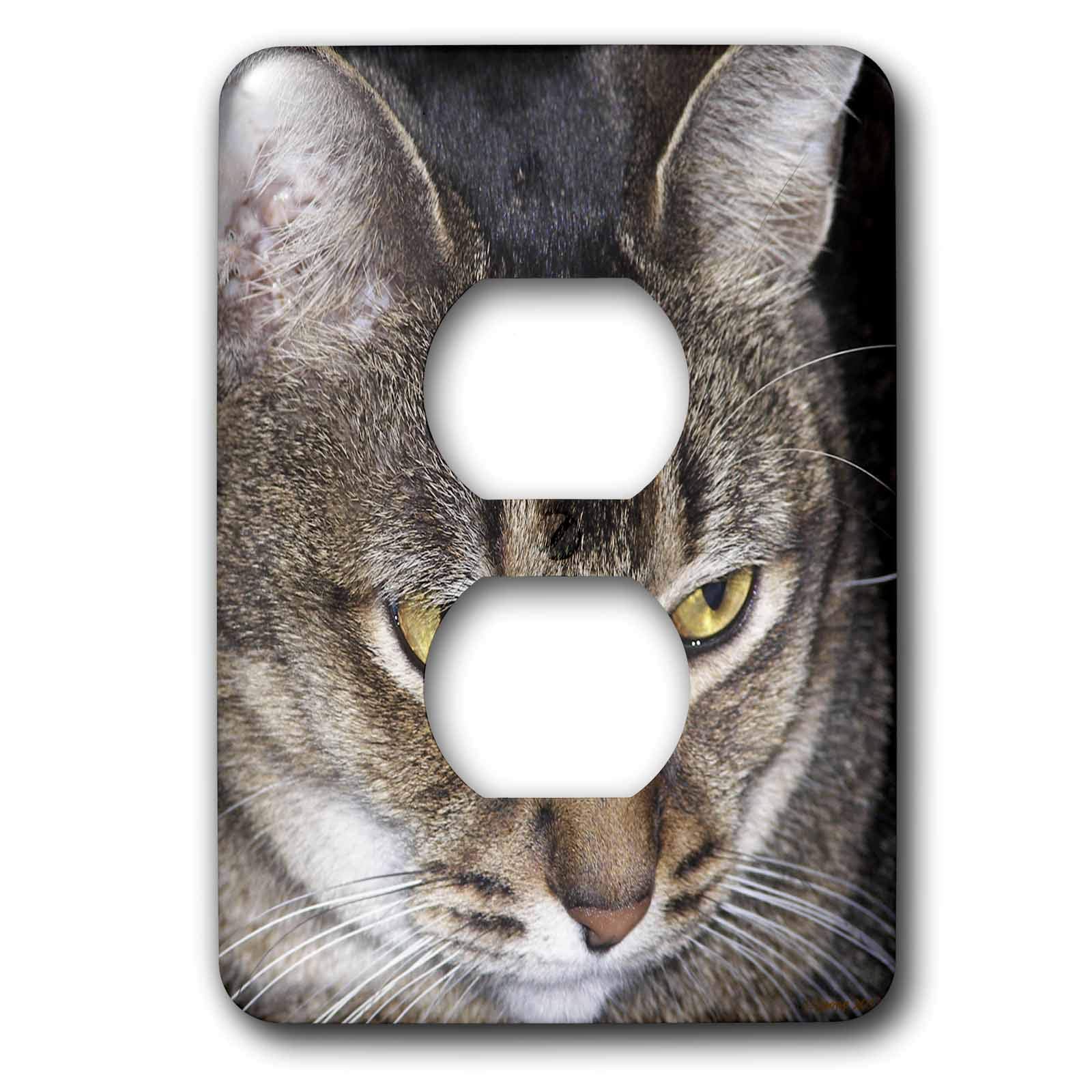 Maine Coon 2 cache prise double 3dRose lsp_19181_6 decoration murale chat