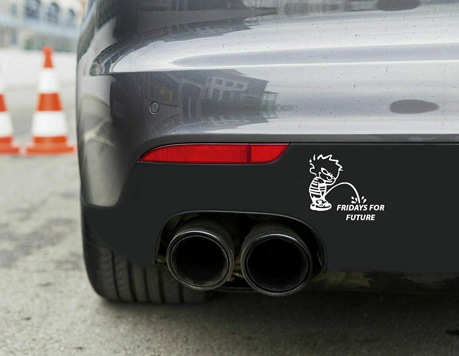 MS Car Sticker Fridays for Future mit Pissmännchen Aufkleber (schwarz ...
