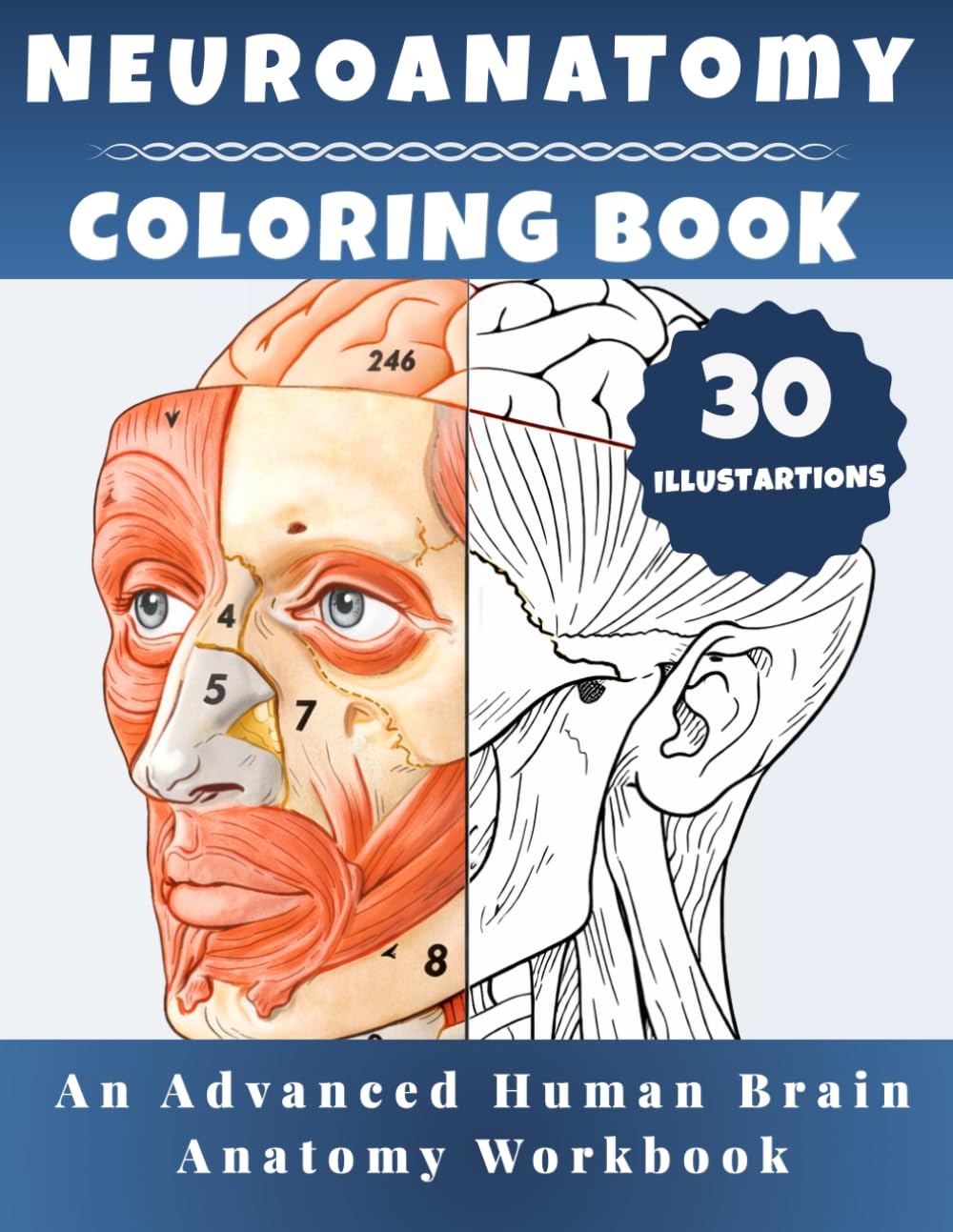 Neuroanatomy Coloring Book - An Advanced Human Brain Anatomy Workbook: A Detailed Brain Anatomy Study Guide with Coloring Pages for Medical Students, Neuroscience and Psychology Learners