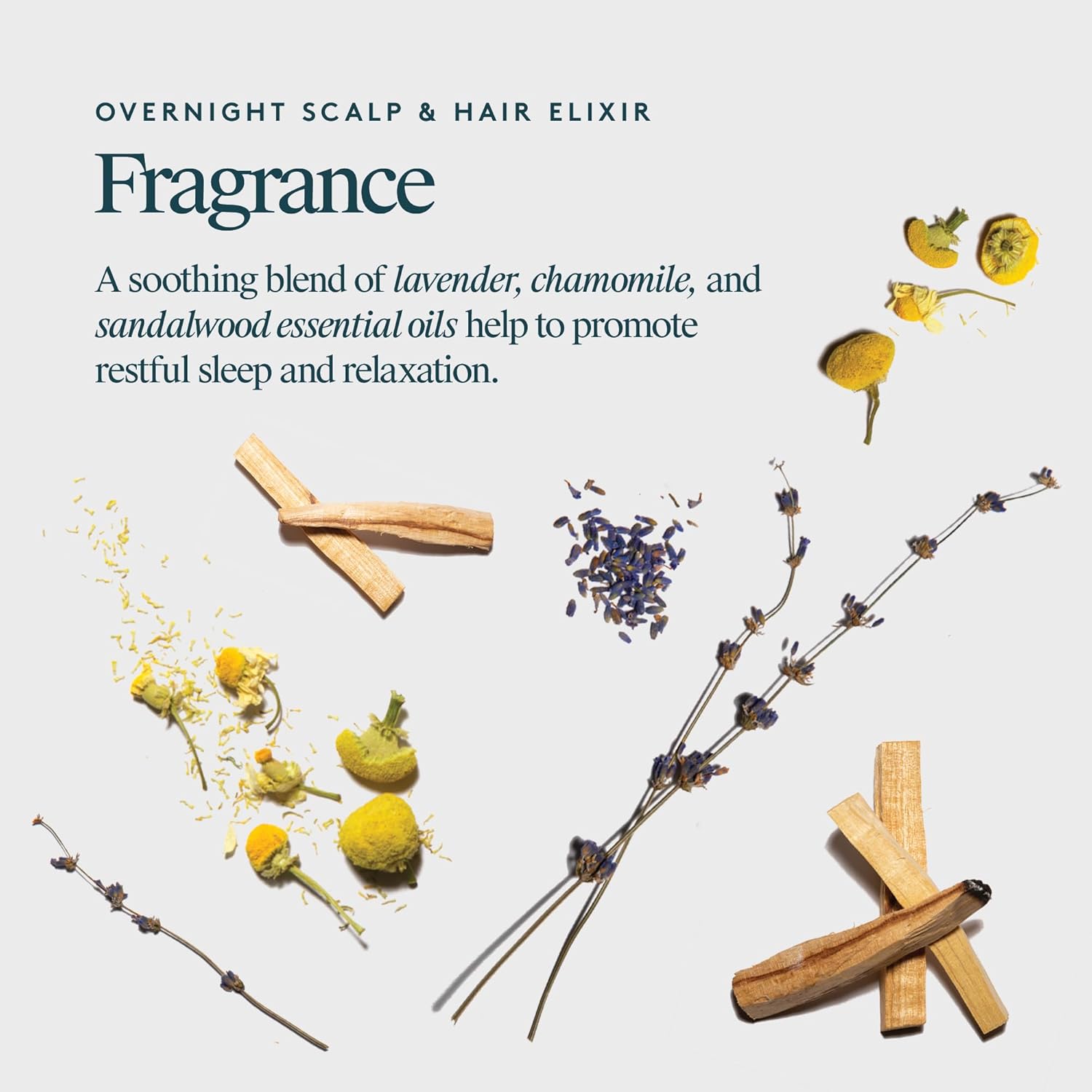 VIRTUE Correct Overnight Scalp and Hair Elixir, Drug-Free, Dermatologist Tested, Safe for All Hair Types 1.7 Fl Oz - Image 8