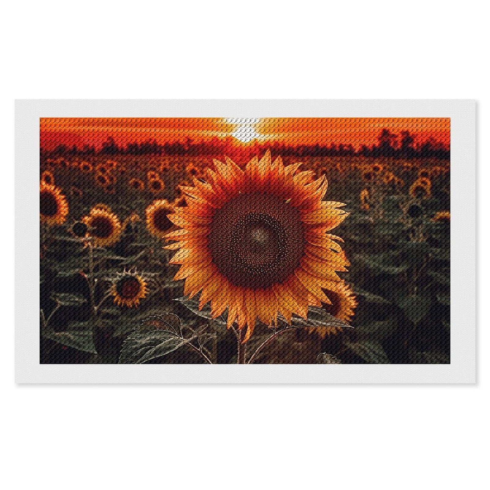 NONHAI Diamond Painting Kits for Adults - DIY Diamond Art Kits for Beginners - Full 5D Paint Drill Diamond Dots Paintings- Sunset Sunflower Diamonds Pictures Gem Art and Craft Wall Decor 12"x20"
