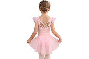 Toddler's Ballet Dance Leotards with Flowy Chiffon Skirt