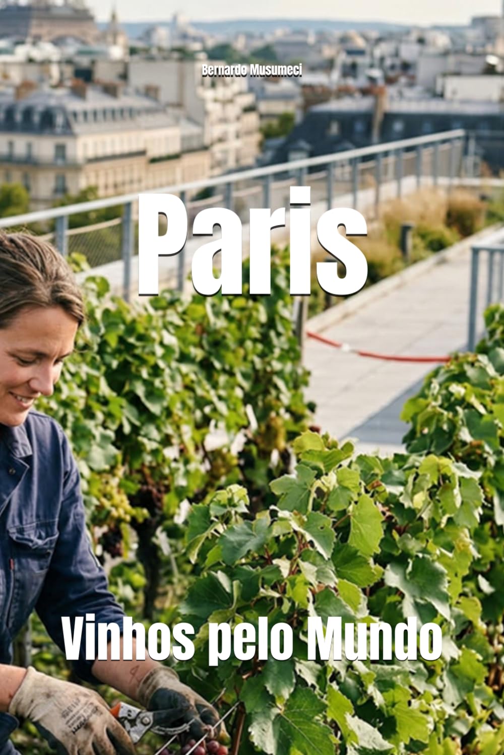 Paris: Vinhos pelo Mundo (Wines of the World: France)
