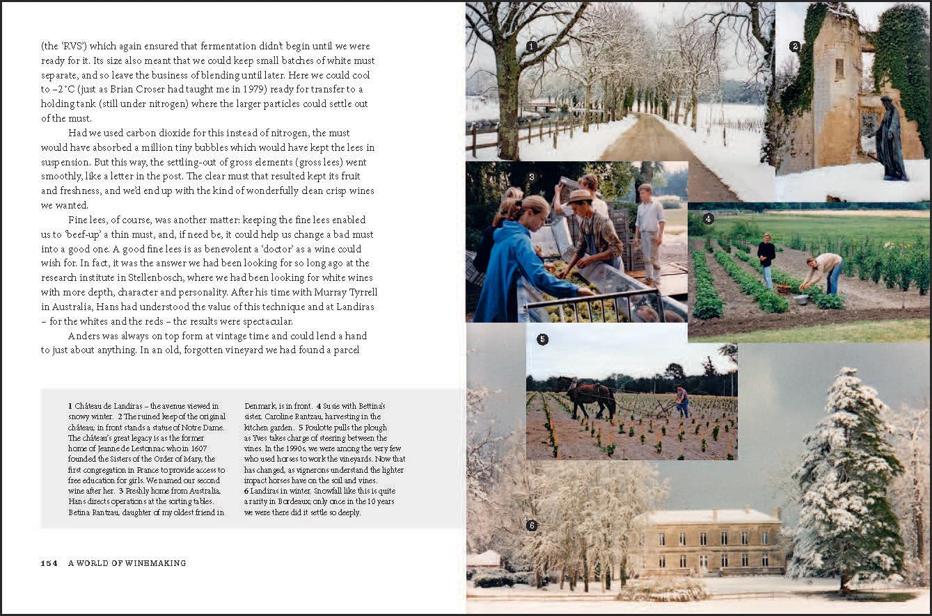 Viking in the Vineyard Peter Vinding-Diers /anglais: Stories from a revolutionary winemaker