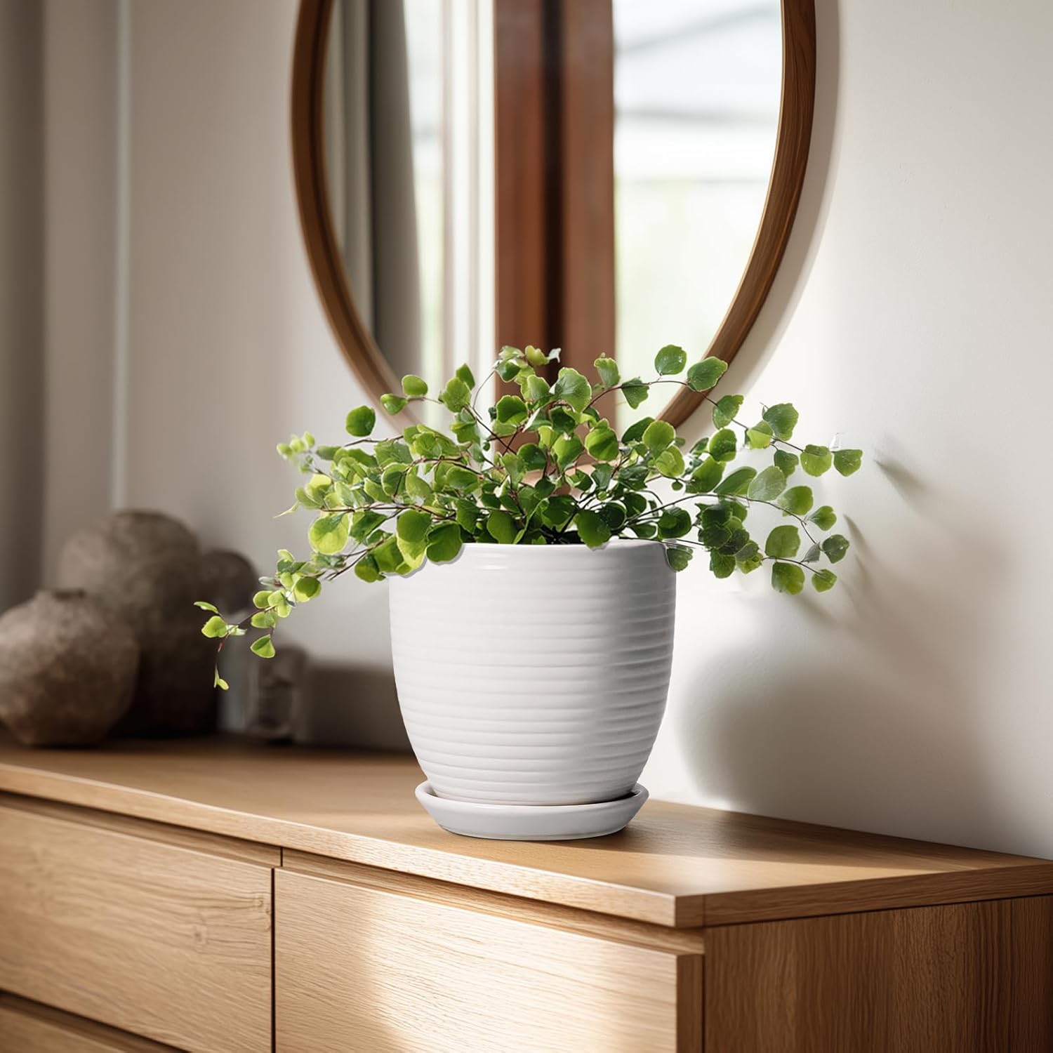 Ceramic Pots for Plants - 6 Inch Plant Pot with Drainage Hole and Saucer, Round Planters for Indoor Outdoor, Flower Pots, Modern Planter, Home Office Room Decor, Gifts for Plant Lovers, White - Image 3