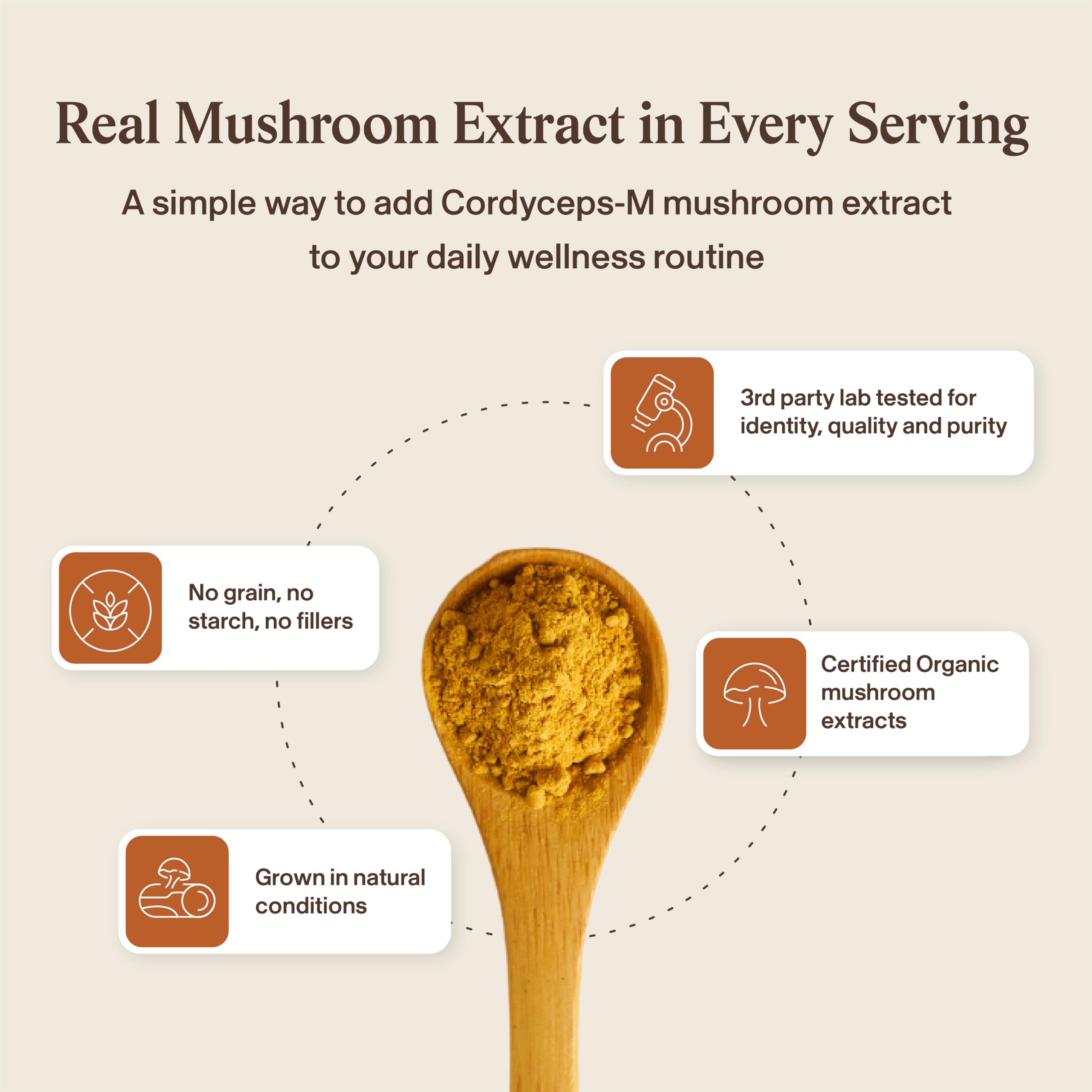 Real Mushrooms Cordyceps Mushroom Extract with Beta Glucans, 120 ct — Amazon image 7