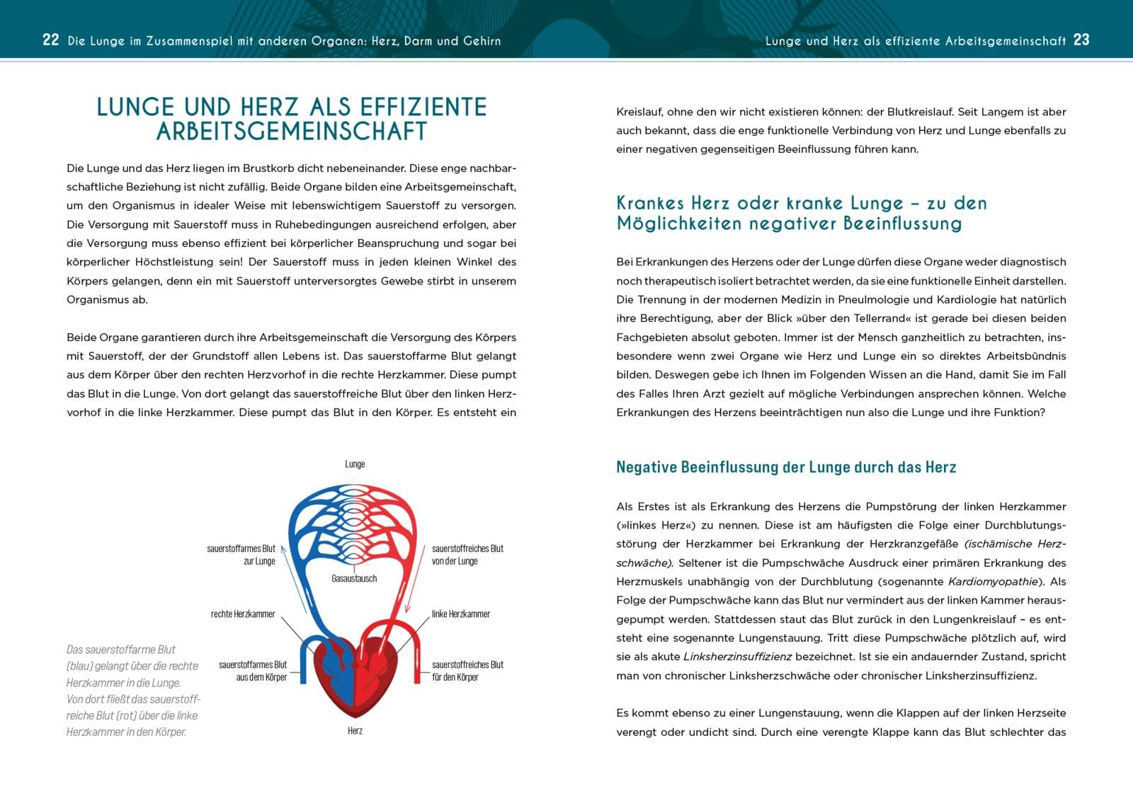Neustart für die Lunge: Wie Sie das lebenswichtige Organ reinigen, stärken und verjüngen. Mit den besten Methoden für eine gesunde und widerstandsfähige Lunge: 3
