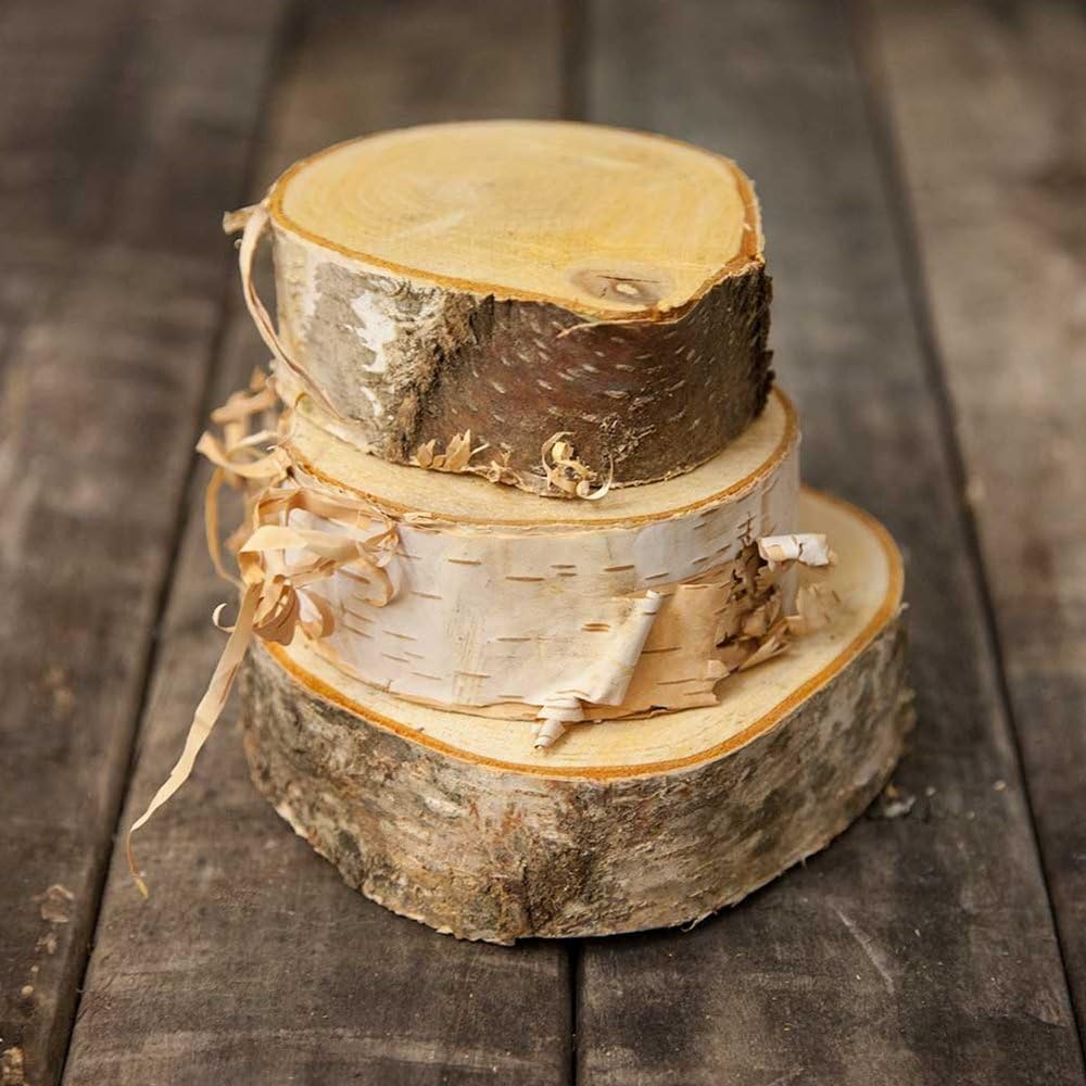 Natural Mini Wood Slices, Round Birch Slabs, 3 to 5 inches, Rustic Tree Bark Slice, Weathered Branch Disc, Outdoor Country Barn Wedding Table Centerpiece, (4 Pack)