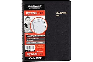 Weekly Appointment Book at a Glance
