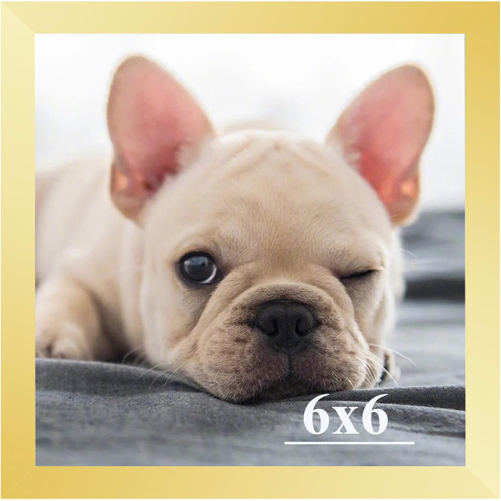 RUN HELIX 6x6 Picture Frames,Simple Designed Photo Frame,Certificate Document Frame for Horizontal and Vertical Formats,6x6 Poster Photo Frame Wall