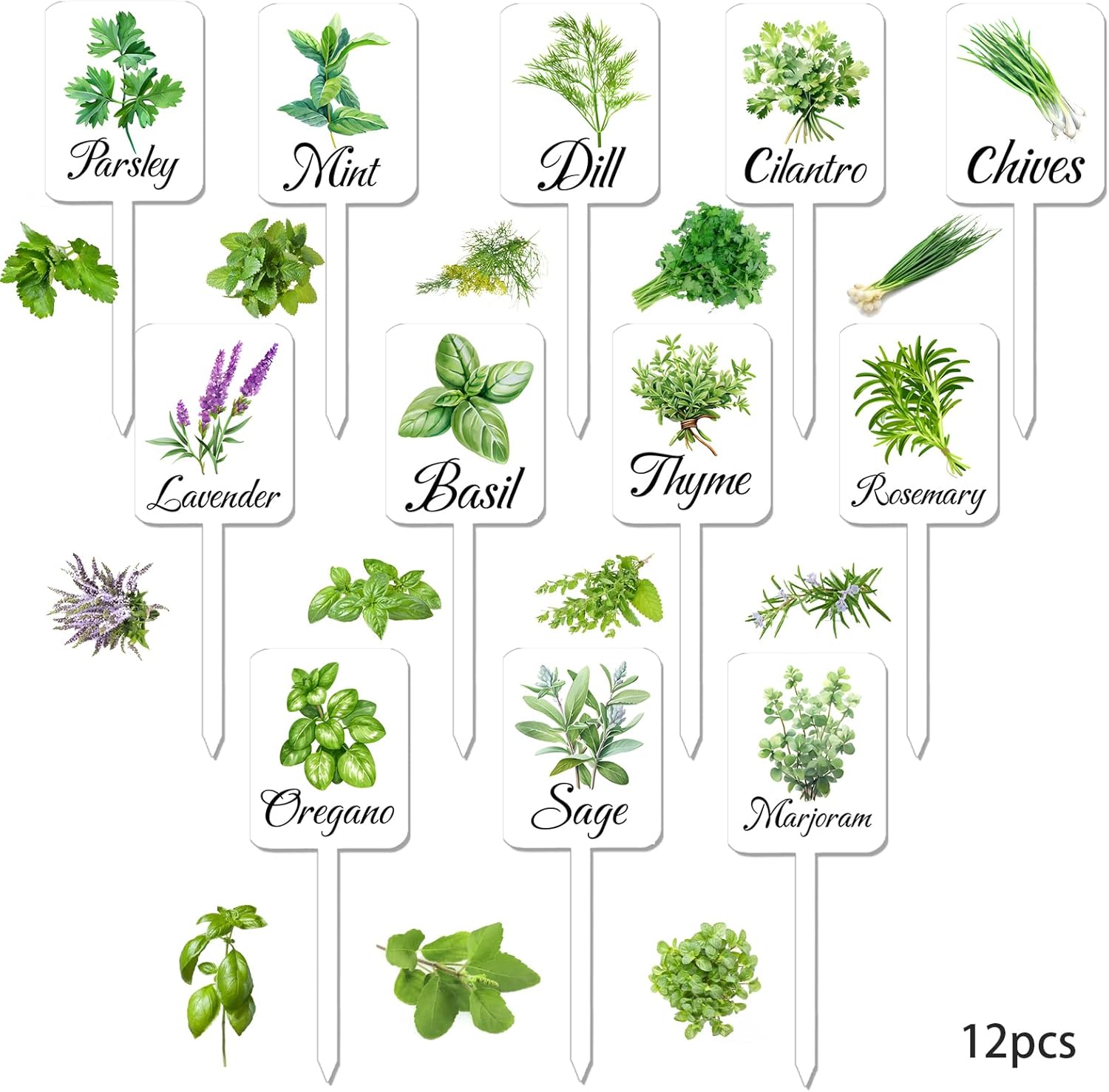 12Pcs Herb Garden Signs - 12 Styles Plant Labels with Names for Vegetables, Indoor/Outdoor Garden Decoration - Image 3