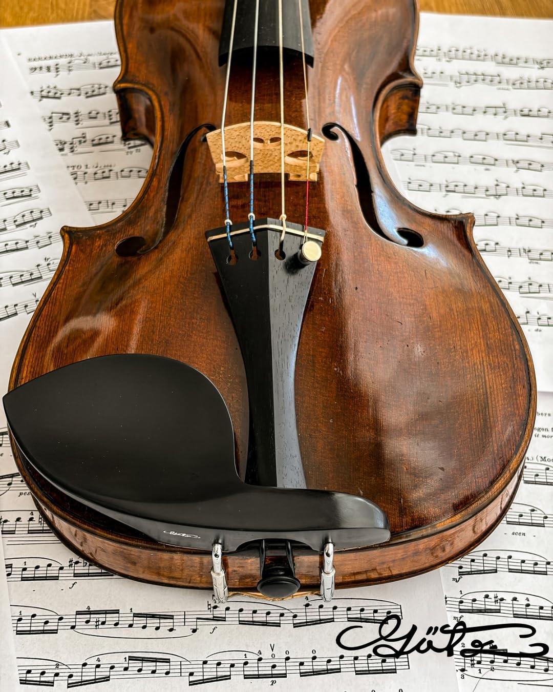 Amazon | Conrad Götz、ZK-4258、「Guarneri/ガルネリ」バイオリン用