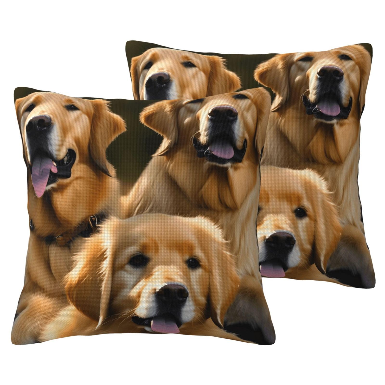 Housse de coussin Golden Retriever EdWal, lot de 2 pour canapé