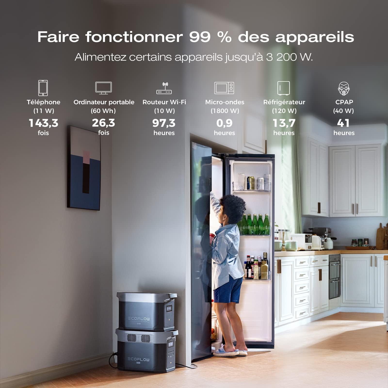 EcoFlow Batterie supplémentaire pour Delta 2 Max/Delta 2, capacité 2048 Wh