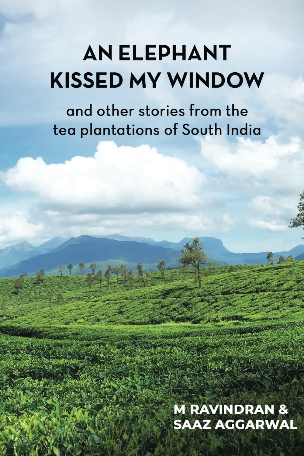 An elephant kissed my window: and other stories from the tea plantations of South India