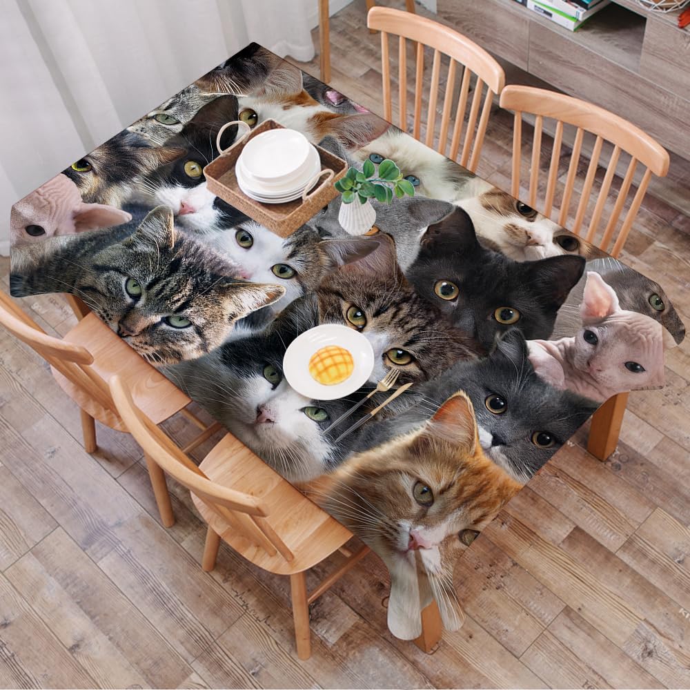 Dalexhm Lot Of Cats Of Different Breeds - A6 Table Cloth Wipe Clean Rectangular, Wipeable Tablecloths,Dining Table Cover For Kitchen Outdoor Garden Table,Lot Of Cats Of Different Breeds,54X72 In
