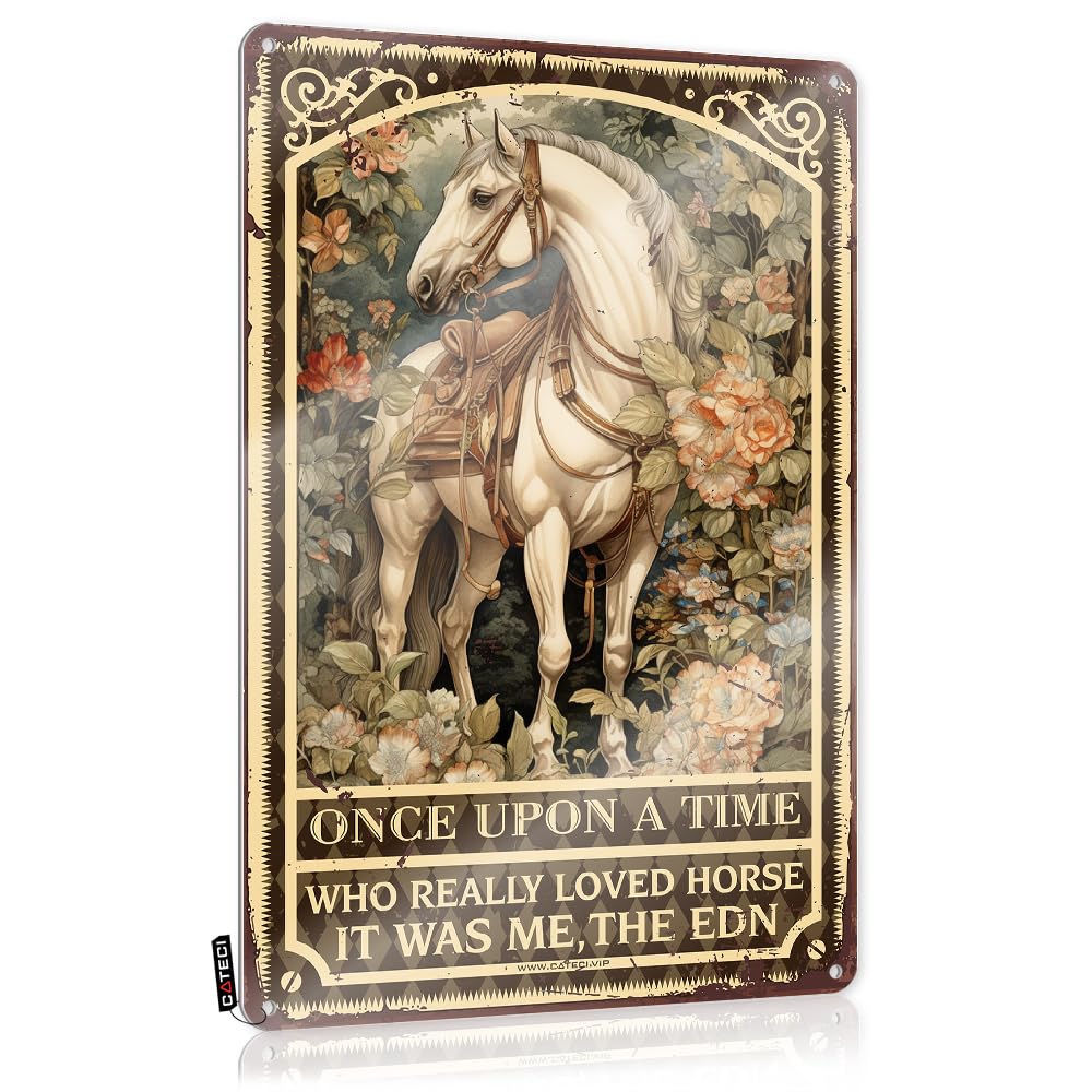 Vintage Decor Once Upon A Time There Were A Girl Who Really Loved Horse Tin Sign Metal Bathroom Wall Decorboho Decorthe Office Decormens Decor Room Door Sign Office Tin Sign(30X40CM)