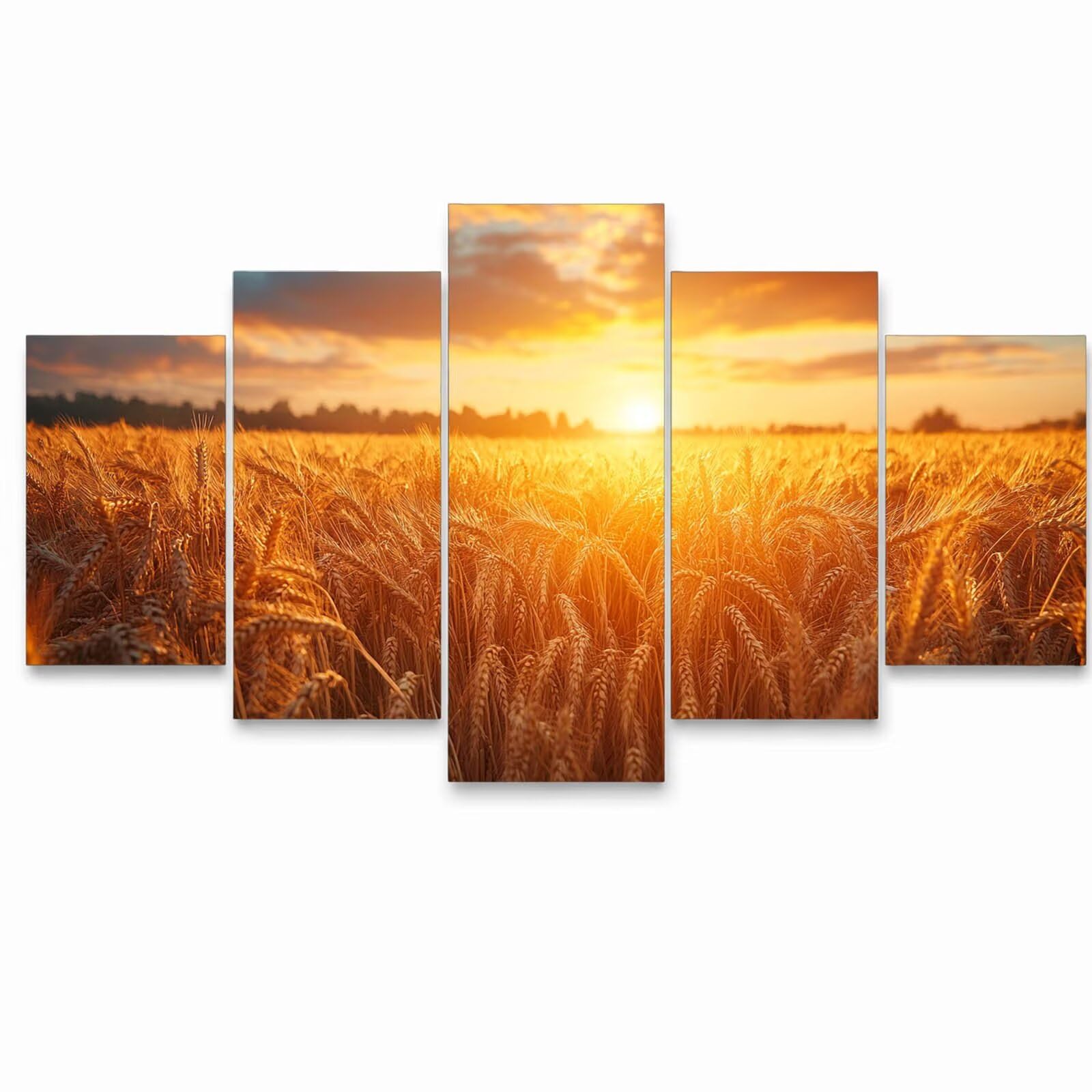 Świecące malowanie według liczb dorosłych pole pszenicy 5 Pack YCBZ-4531