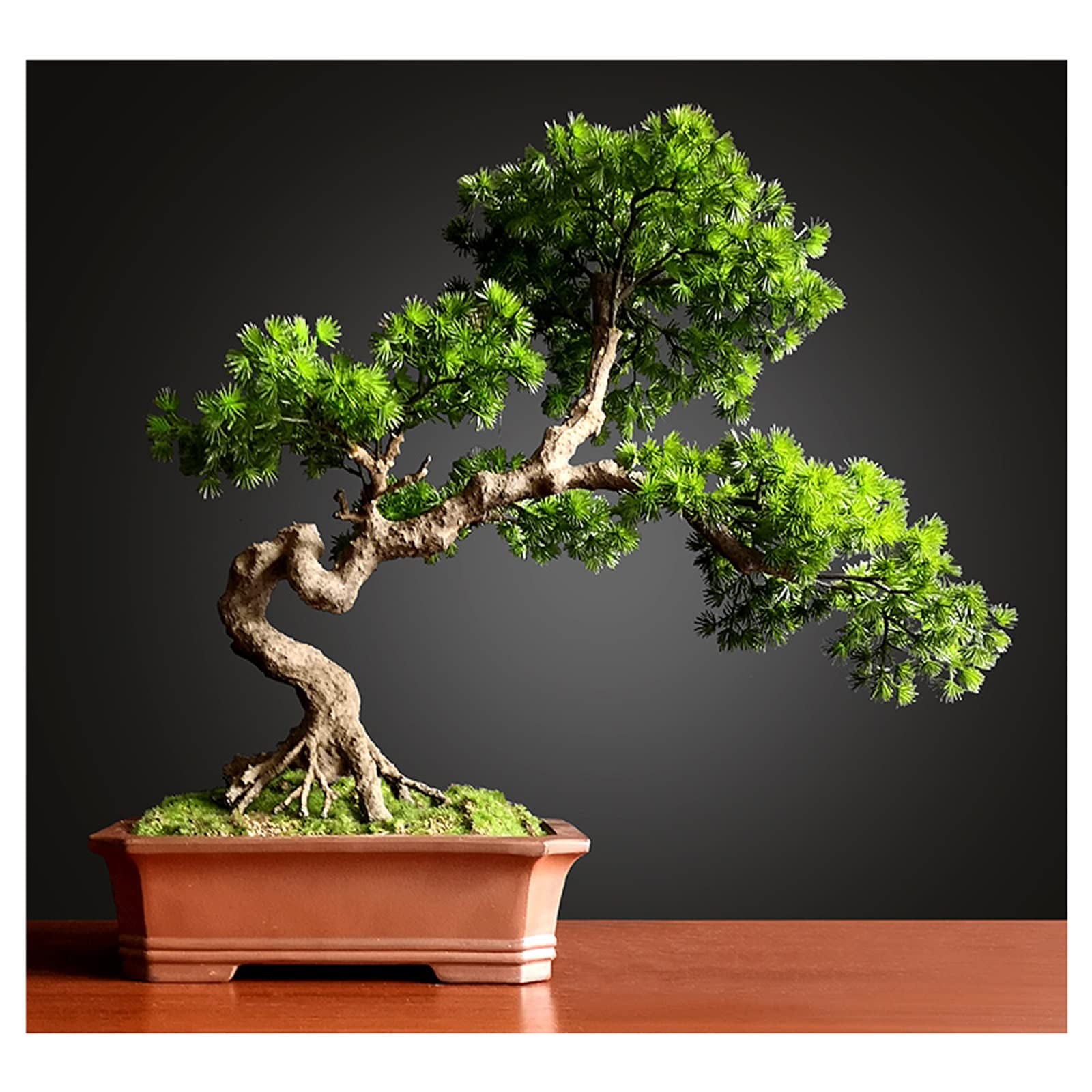 HCZKIUJY Artificial Bonsai Tree Artificial Bonsai Tree Fake Plants Potted Artificial House Plants for Desktop Book Shelf Room Decor Fake Plant Decoration