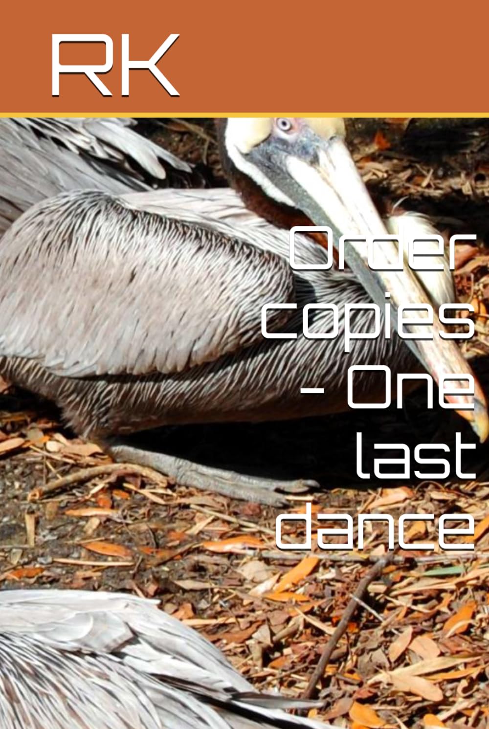Order copies - One last dance