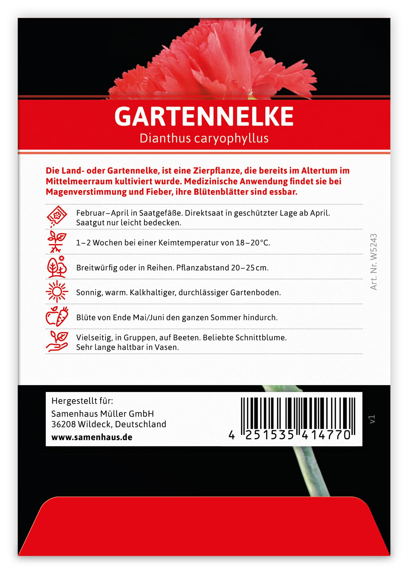 FLORTUS W5243-100x Gartennelke für Werbezwecke (100 Tütchen) (Nelkensamen)