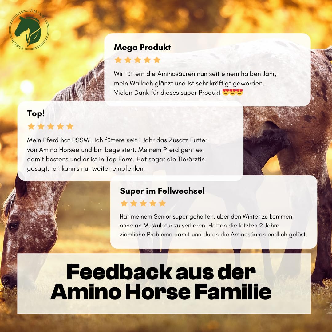 Aminosäuren Basismix für Pferde, 100% Reine dopingfreie L-Aminosäuren, 650g Monatspackung