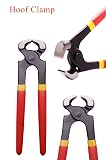 Loaged Kit de herramientas de herrador – 8 pulgadas herradores profesionales de herradores de pezuña cortador cuchillo mango mini raspa hoof lima cabra cerdo equino tijeras de metal (7 piezas)