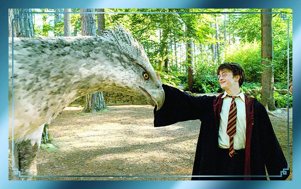 Panini France SA - The Magic of Harry Potter Films - 6 Pockets, 2532-038