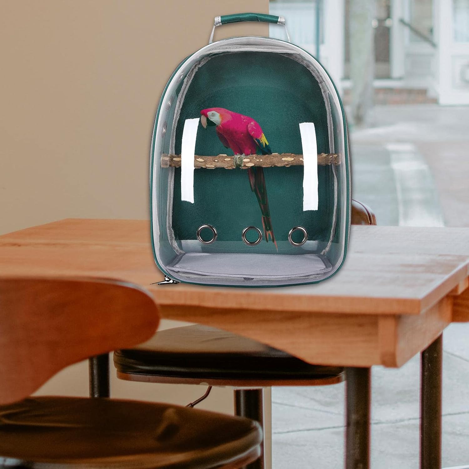 Bird Backpack Carrier for Parrots with Window for Small and Medium Birds, Green