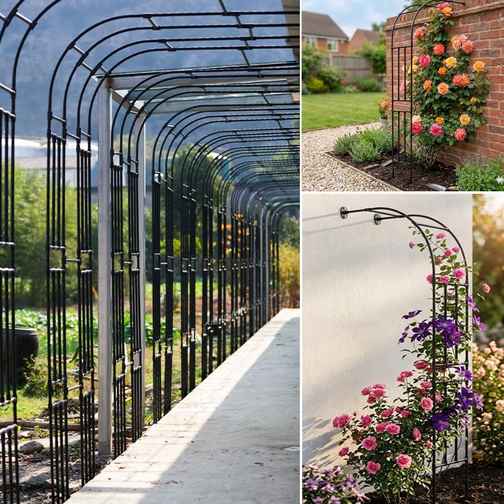 Arche À Rosiers en Métal, Arceau De Jardin Demi-latérale, Treillis Et Support pour Plantes Grimpantes, Pergola Déco pour Extérieur, Terrasse, Mariage Et Cérémonie(Black,W150*H240cm)