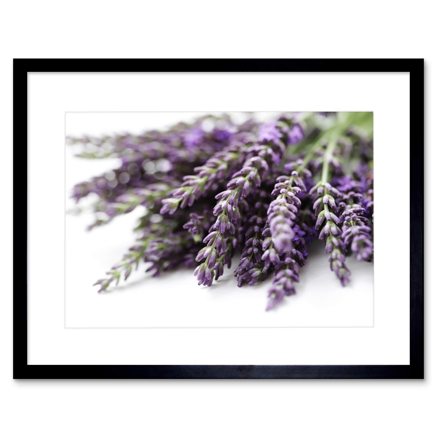 Wee Blue Coo Lavender Flowers Purple Art Framed Wall Art Print