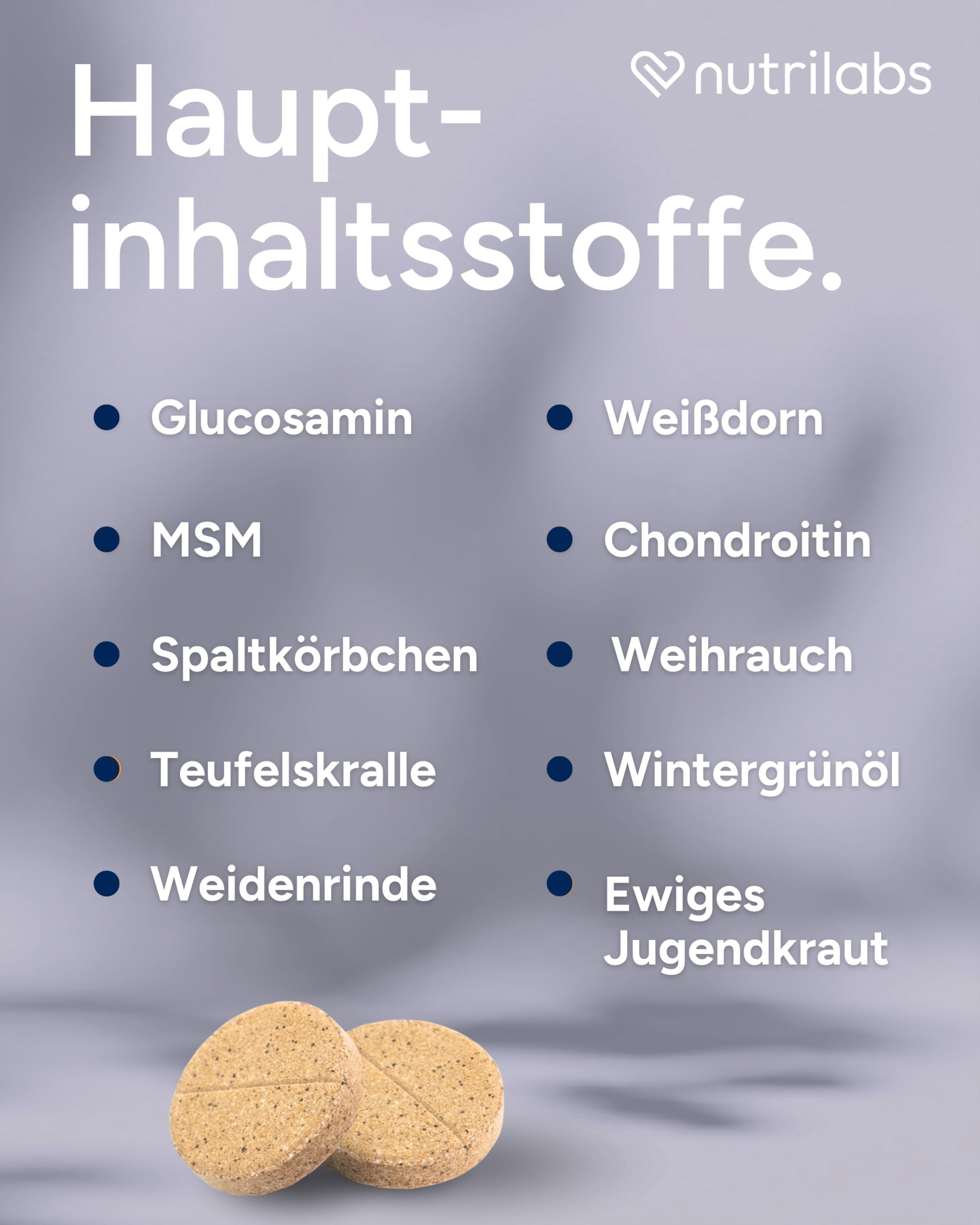 NutriLabs Geridex® Tabletten für Senioren-Hunde 60 STK. - Seniorentabletten für Hunde mit Glucosamin, Weißdorn u.v.m. - Hunde-Nahrungsergänzung - Teufelskralle-Tabletten - MSM-Hund