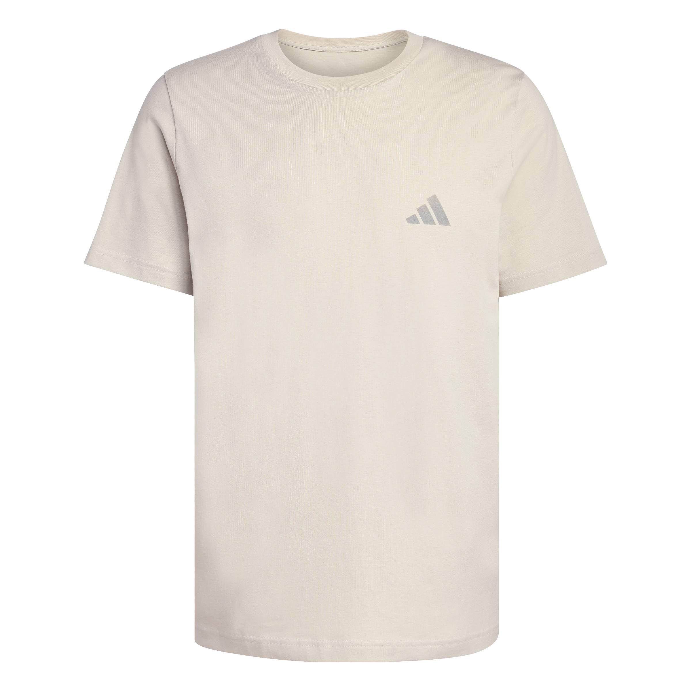 adidas Men's Terrex Mountain Graphic Shirt, Wonder Alumina, XL