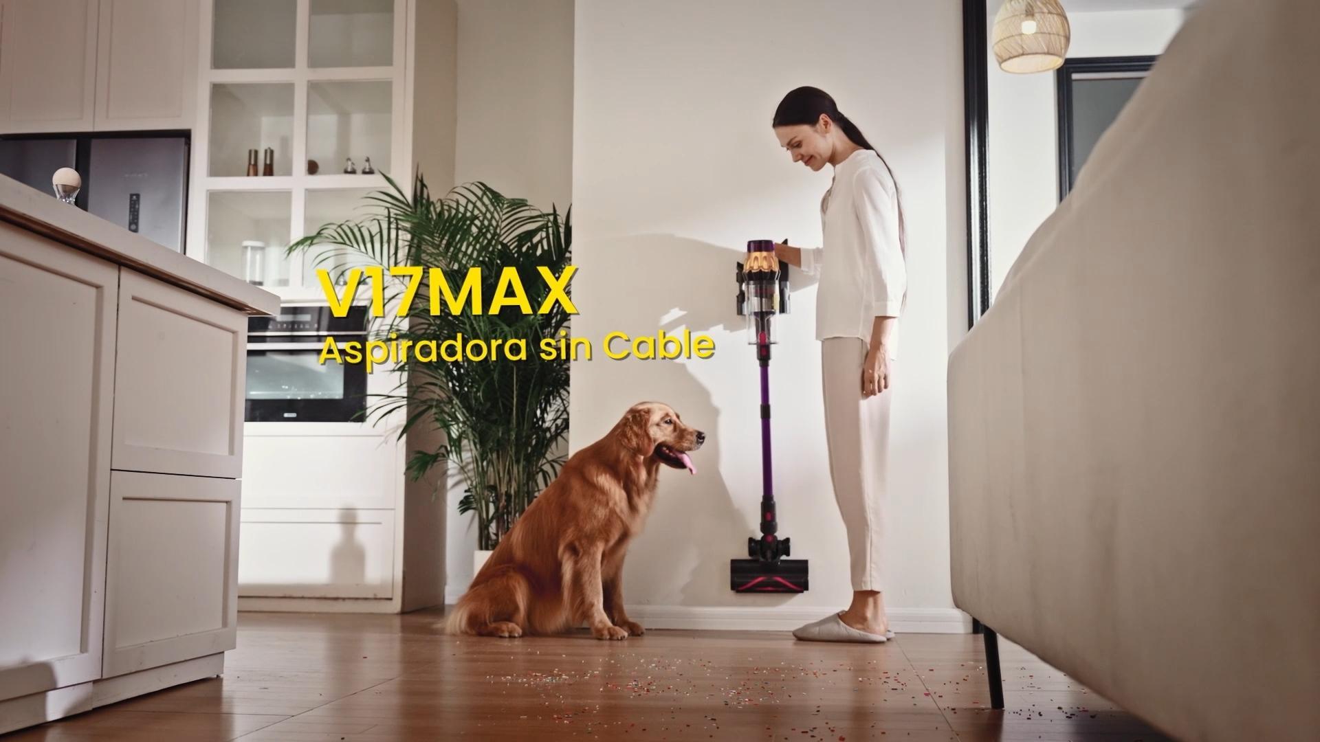 DyMona Aspiradora sin Cable para Apartamento, Perros& Gatos