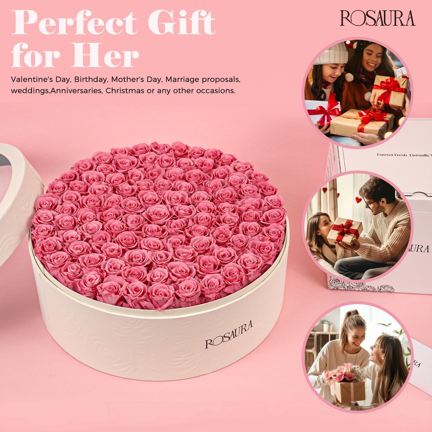 Rosaura Round Preserved Roses Gift Box (Pink, 100 Roses)