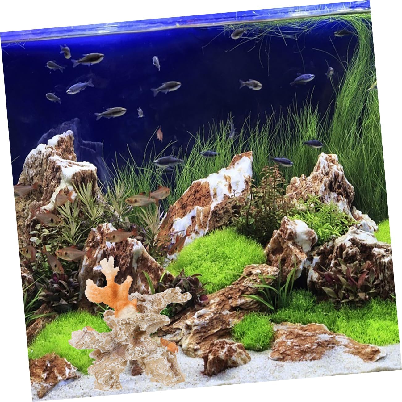 5pcs Fish Tank Coral Ornaments Fish Decor Aquarium Decoration Tanks Pond Fish Tank Coral Decor Fish Tank Ornament Heater Fish Tank Plants Fish Accessory for Ta