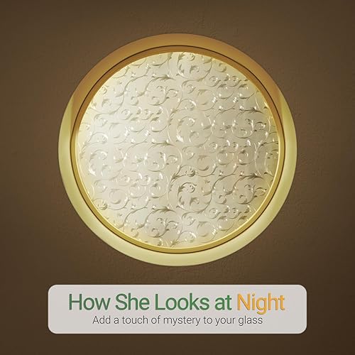 Miniatura 3 de rabbitgoo Película de privacidad para ventana, de vidrio esmerilado, cubiertas de ventana con bloqueo solar, calcomanías extraíbles de adherencia