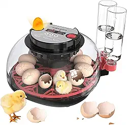 Incubadora automática de ovos com espátula, capacidade para 12 ovos, controle de temperatura, visão de 360°, para codorna de galinha, pato, ganso (incubadora de 12 ovos)