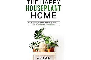 Happy Houseplant Revolutionize Indoor Greenery