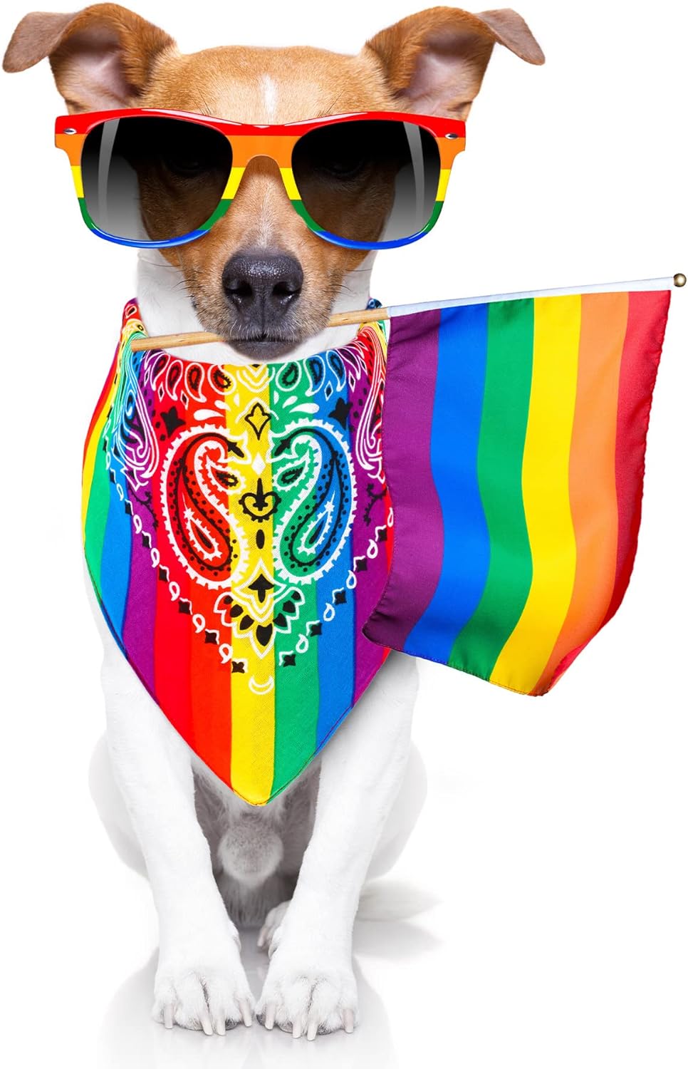 Unittype 100 Pieces Paisley Bandanas Bulk Unisex Cowboy Bandanas Assorted Headband Square Scarf for Western Party Costume - Image 4