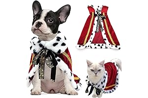 "King" Dog Costume: Rule the Realm of Cuteness