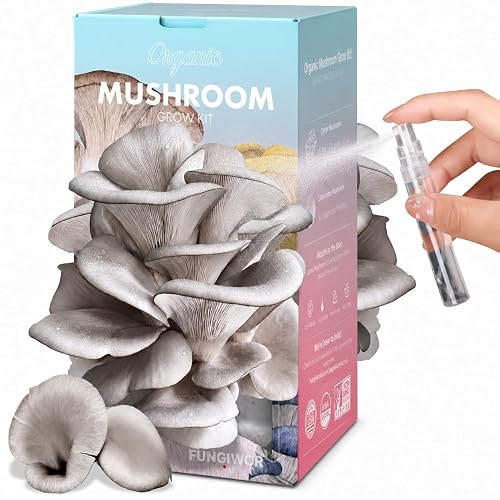 Organic Edible 4lbs Oyster Mushroom Growing Kit,